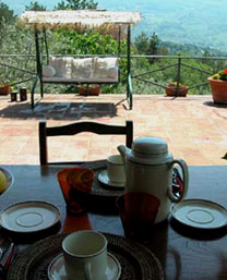breakfast on the terrace