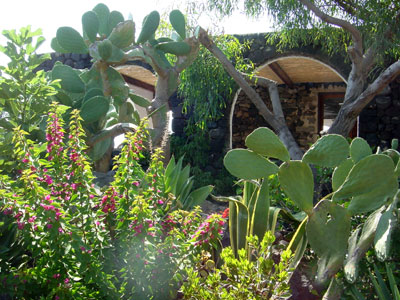 garden in sicily villa at pantelleria
